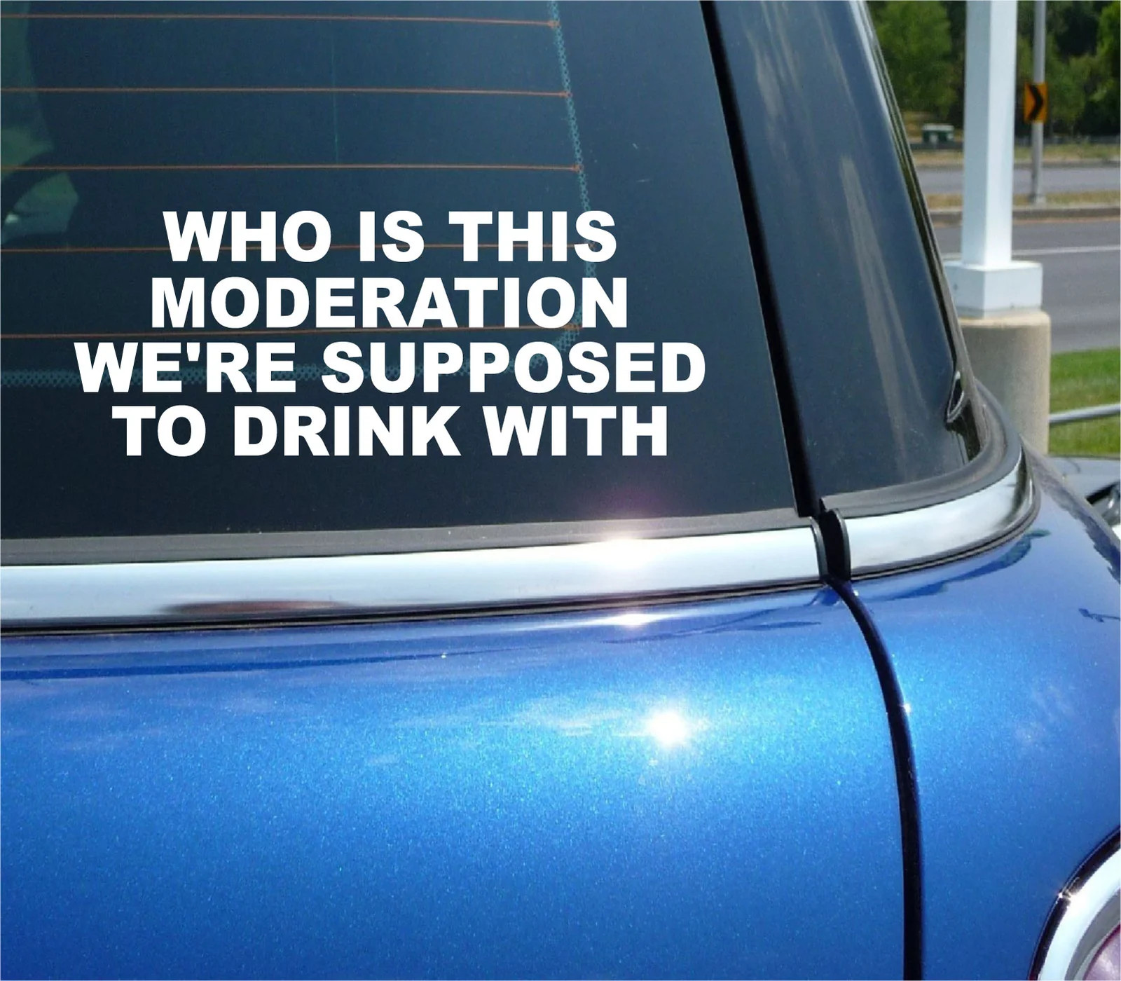 WHO IS THIS MODERATION SUPPOSED TO DRINK WITH STICKER DECAL FUNNY CAR WINDOW