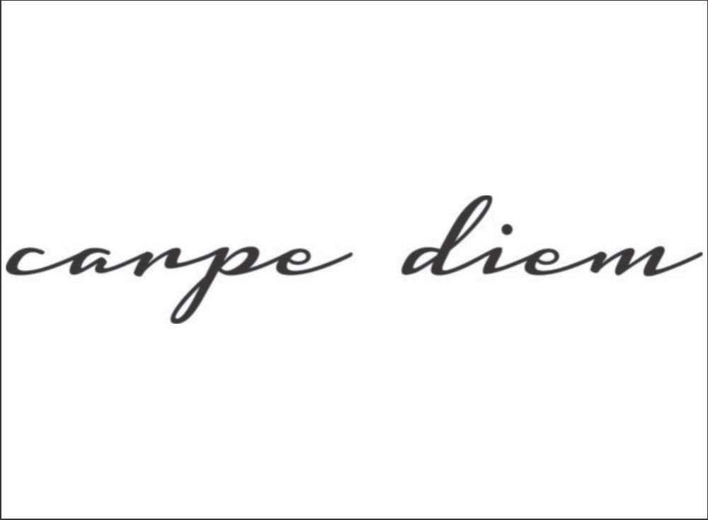 Carpe Diem / BLACK / Inspirational Phrases Vinyl Wall Decor Computer Skins Decal