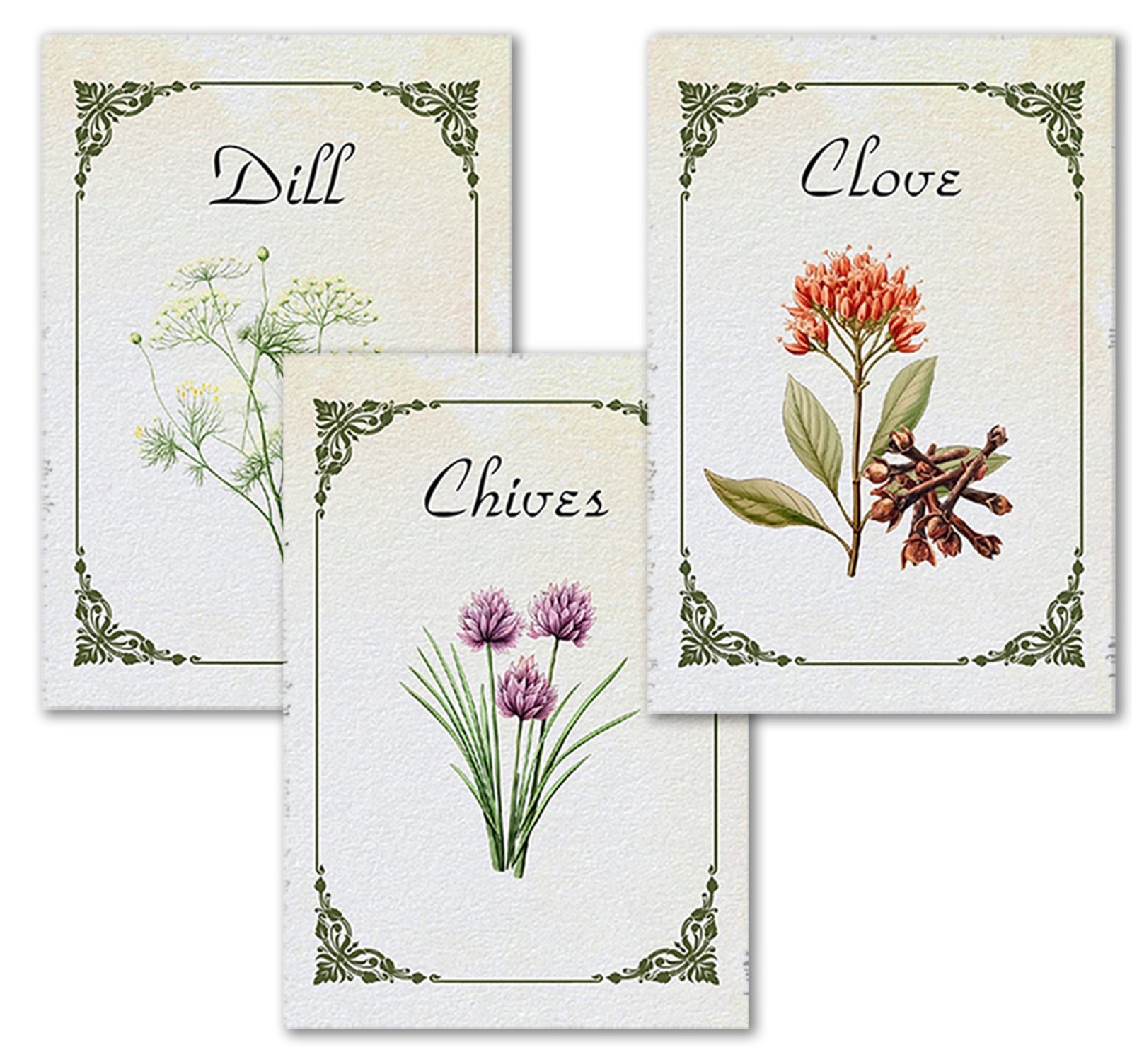 Labels For Your Spice Jars – Set Of 24 Vintage look Colorful Labels