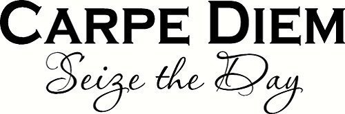 Carpe Diem Seize the Day, Our Inspirational Vinyl Wall Decals / Arts Are Made…