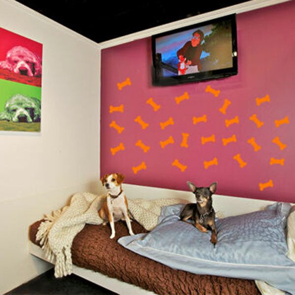 3″ X 1.5″ Dog Bone Home Office Wall Bathroom Window Vinyl Decals Stickers Decor
