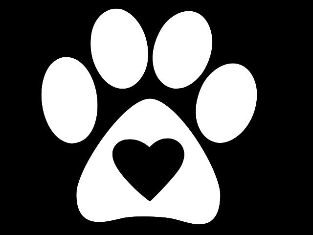 PAW PRINT INSIDE HEART CAT DOG Vinyl Decal Car Wall Sticker CHOOSE SIZE COLOR