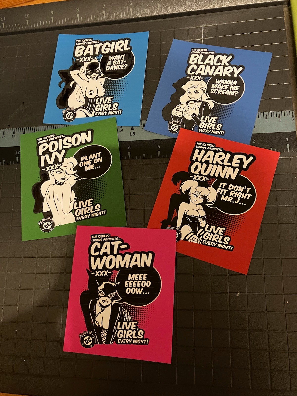 DC Comics Harley Quinn Black Canary Poison Ivy Catwoman Batgirl Vinyl Stickers