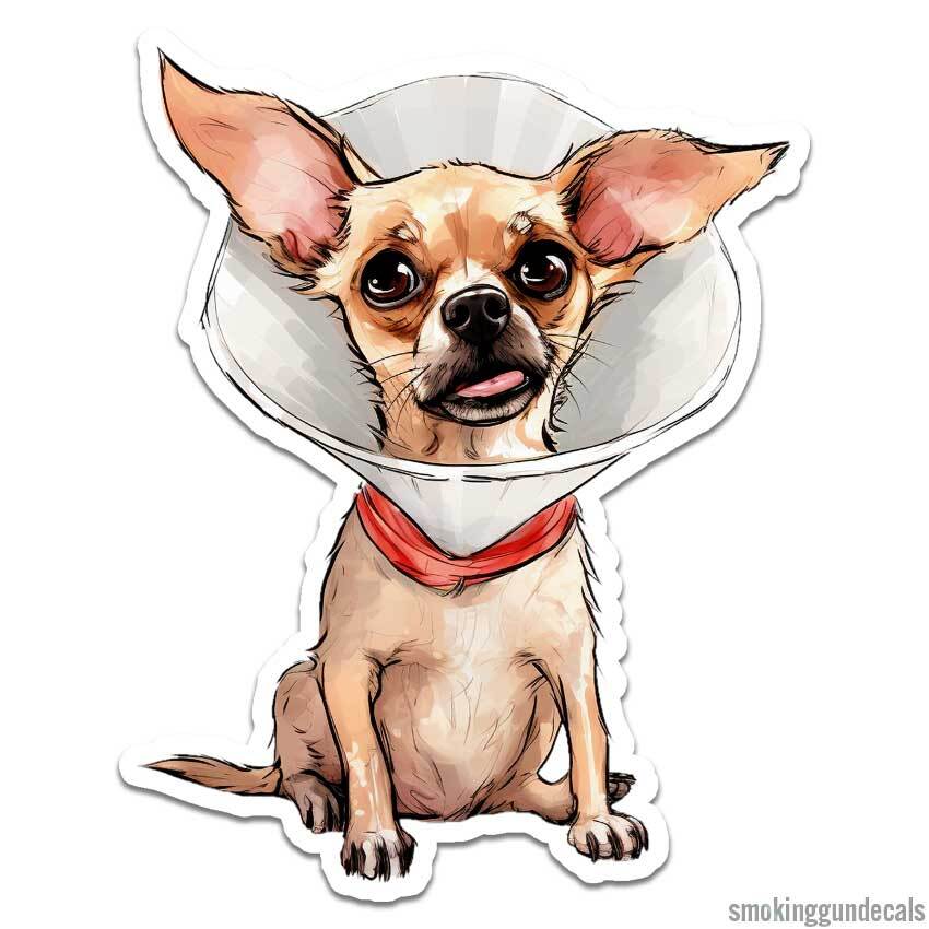 Chihuahua Vet, Vinyl Decal Sticker, Indoor Outdoor, 3 Sizes, #12345