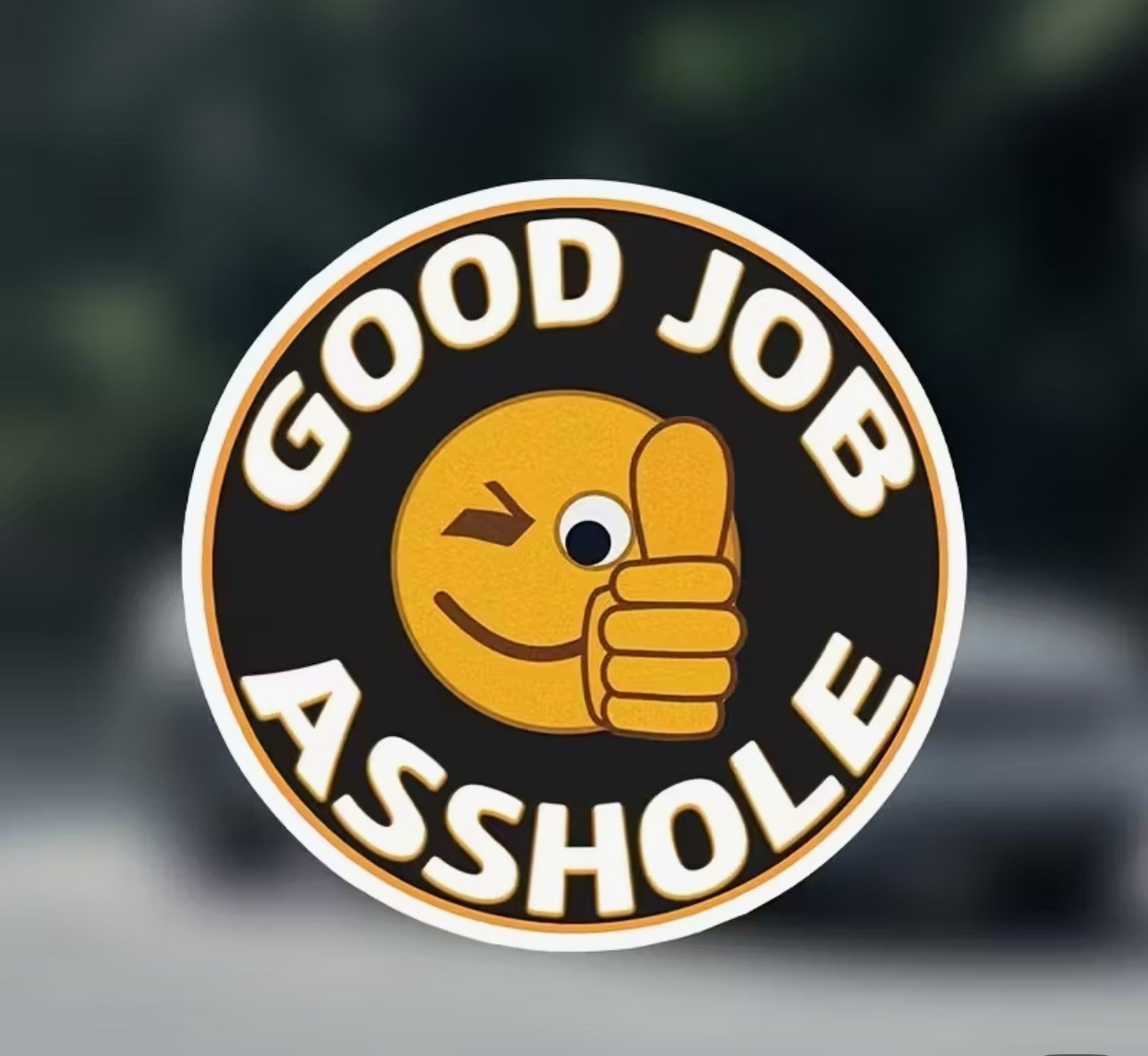 GOOD JOB A$$HOLE FUNNY PRANK JOKE 6” REFLECTIVE VINYL STICKER DECAL 1PC