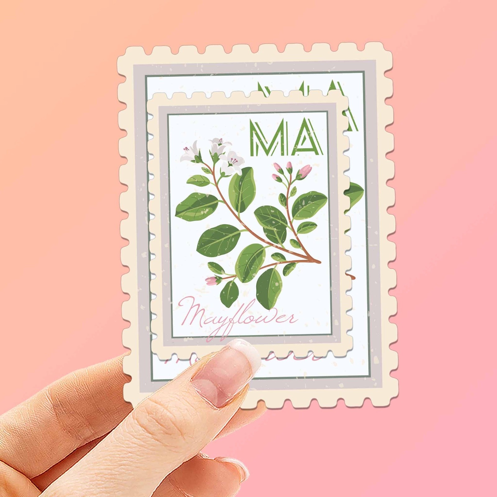 Massachusetts State Flower Mayflower Sticker – MA Vintage Stamp Decal