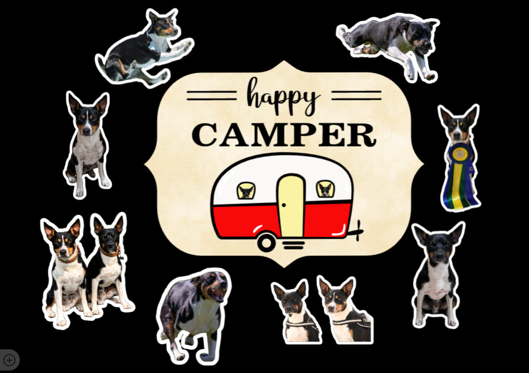 Custom Stickers, Kids, Pets, My design or yours, Waterproof UV/Gloss/Matte Stkrs
