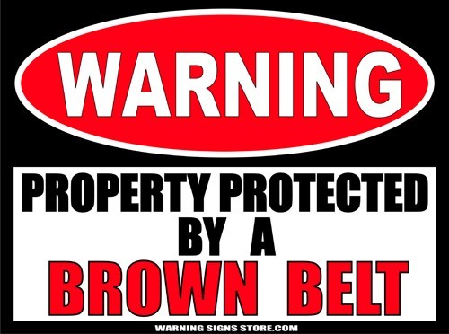 Brown Belt Martial Arts Warning Sign Sticker Decal 6″ WS294