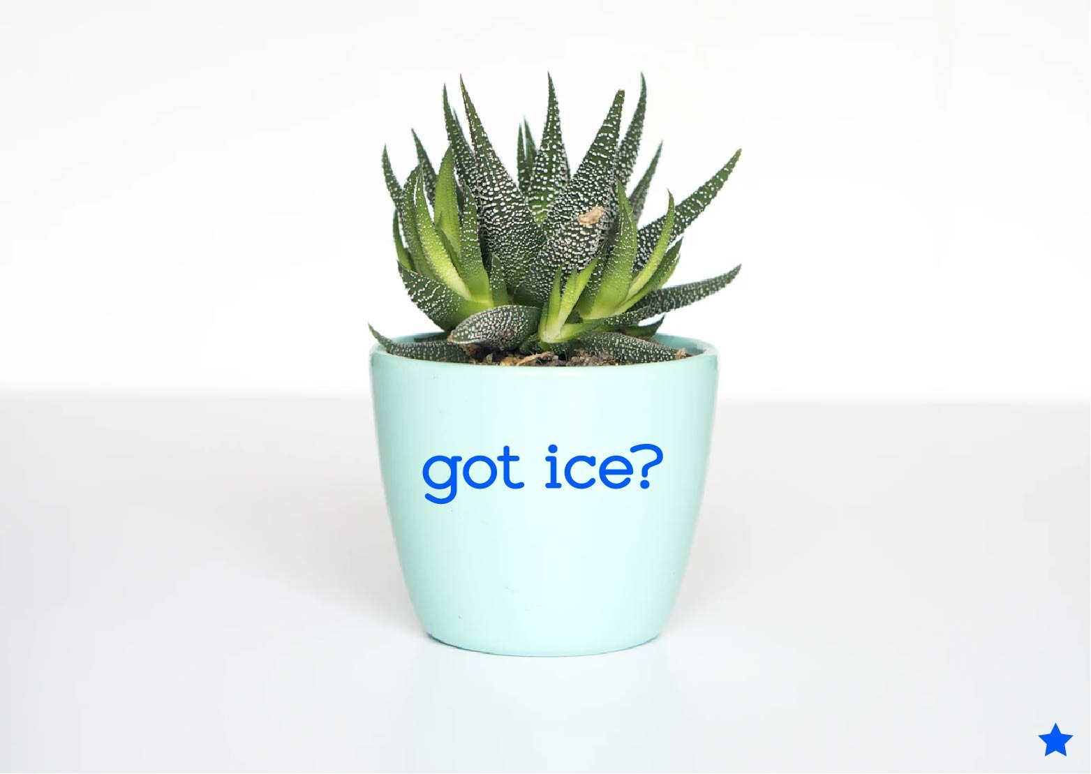 got ice Decal Sticker Winter Sport Hockey Rink Team USA Goal Skate