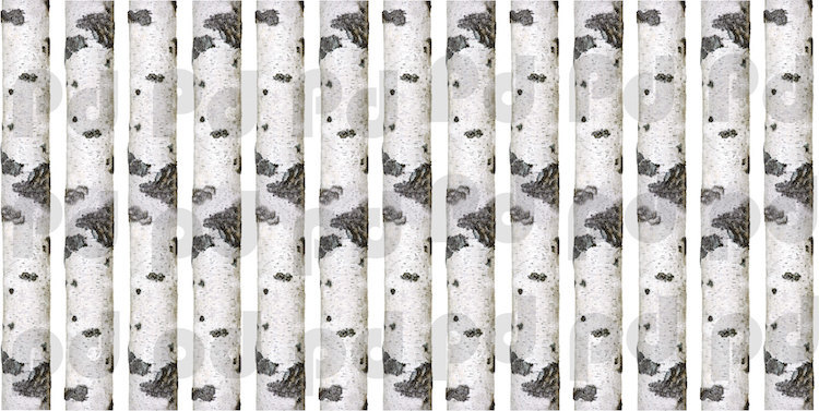 Birch Tree Wall Decal Aspen Trunk Wallpaper Vinyl Art Removable Plants, b95