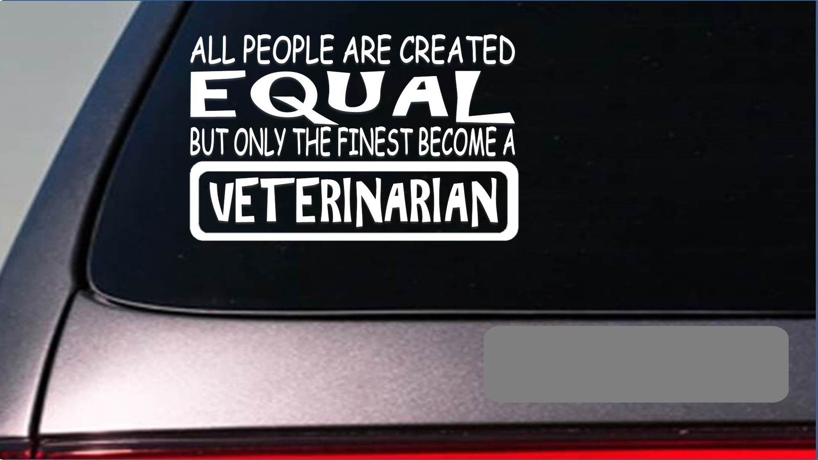 Veterinarian equal Sticker *G759* 8″ vinyl vet school dog cat horse vet tech