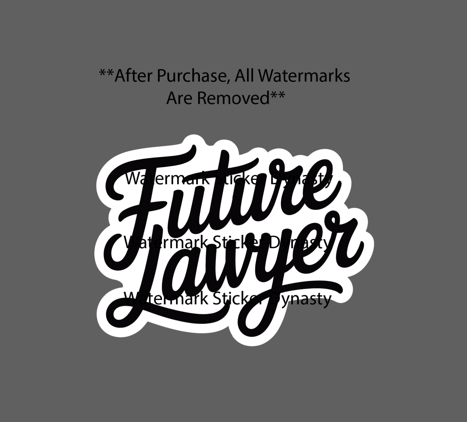 Future Lawyer Sticker Waterproof Decal School College Law Quote Work Gift NEW