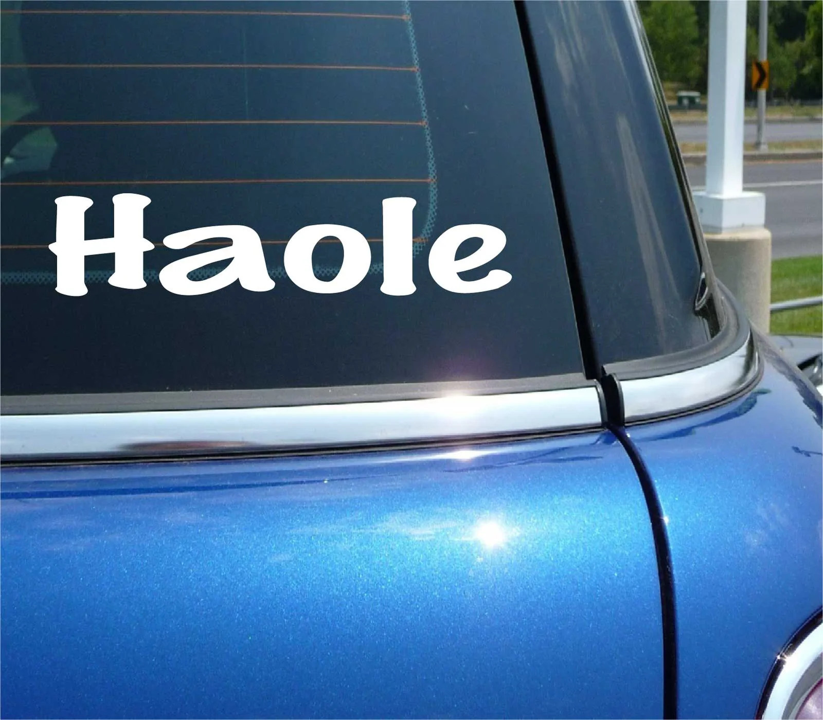HAOLE HAWAII WHITE PERSON VISITOR ROT SUNBURN DECAL STICKER FUNNY CAR TRUCK