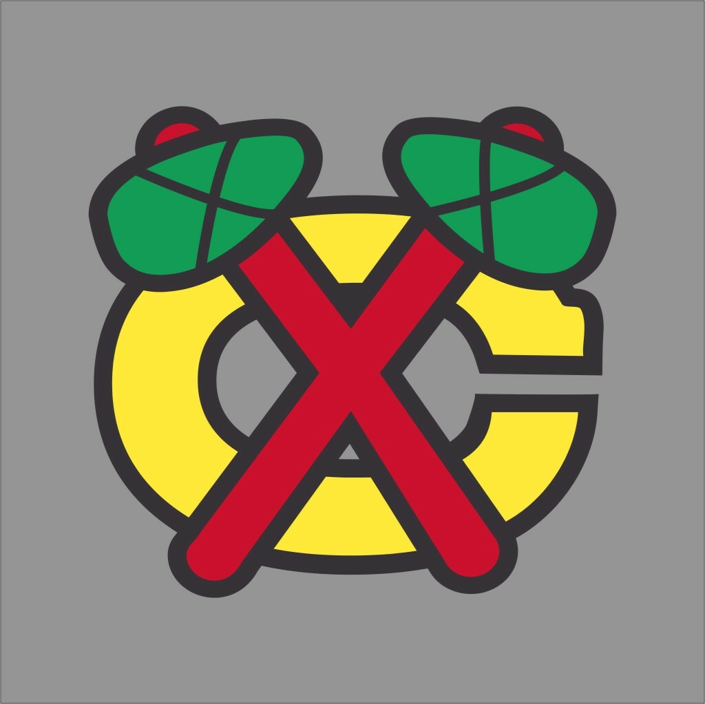 Chicago Blackhawks #2 NHL Team Pro Sports Vinyl Sticker Decal Car Window Wall