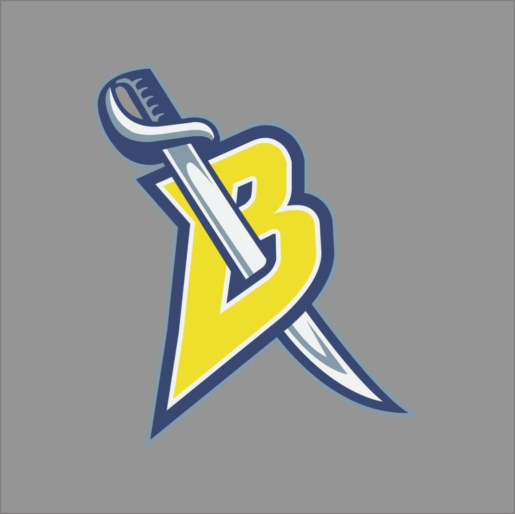 Buffalo Sabres #9 NHL Team Pro Sports Vinyl Sticker Decal Car Window Wall
