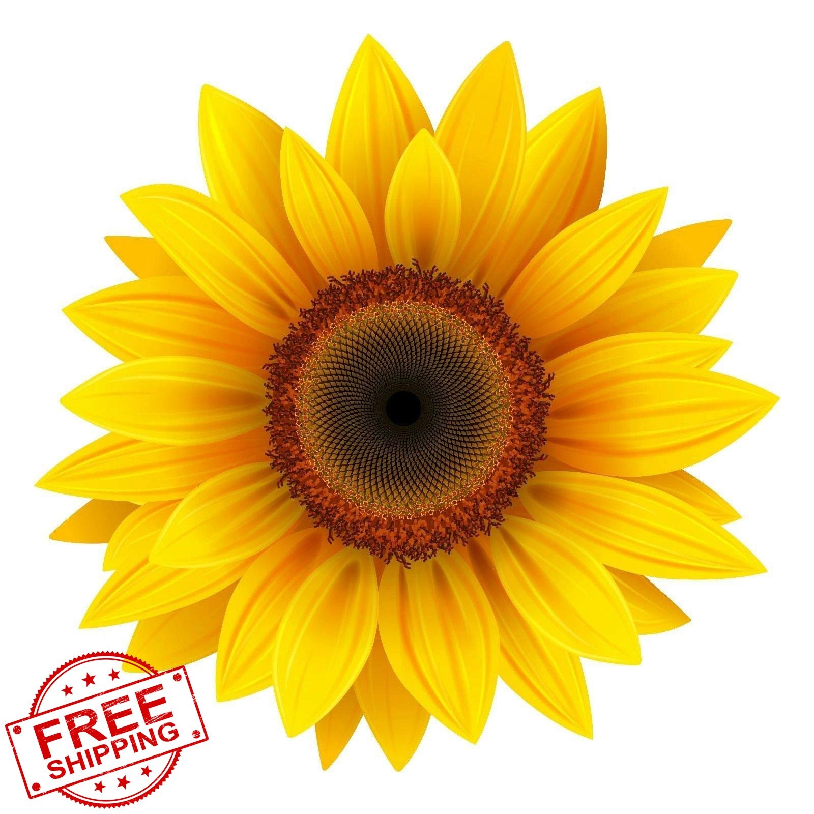 EZ CUT PRO Sunflower Decal 4″ Wide