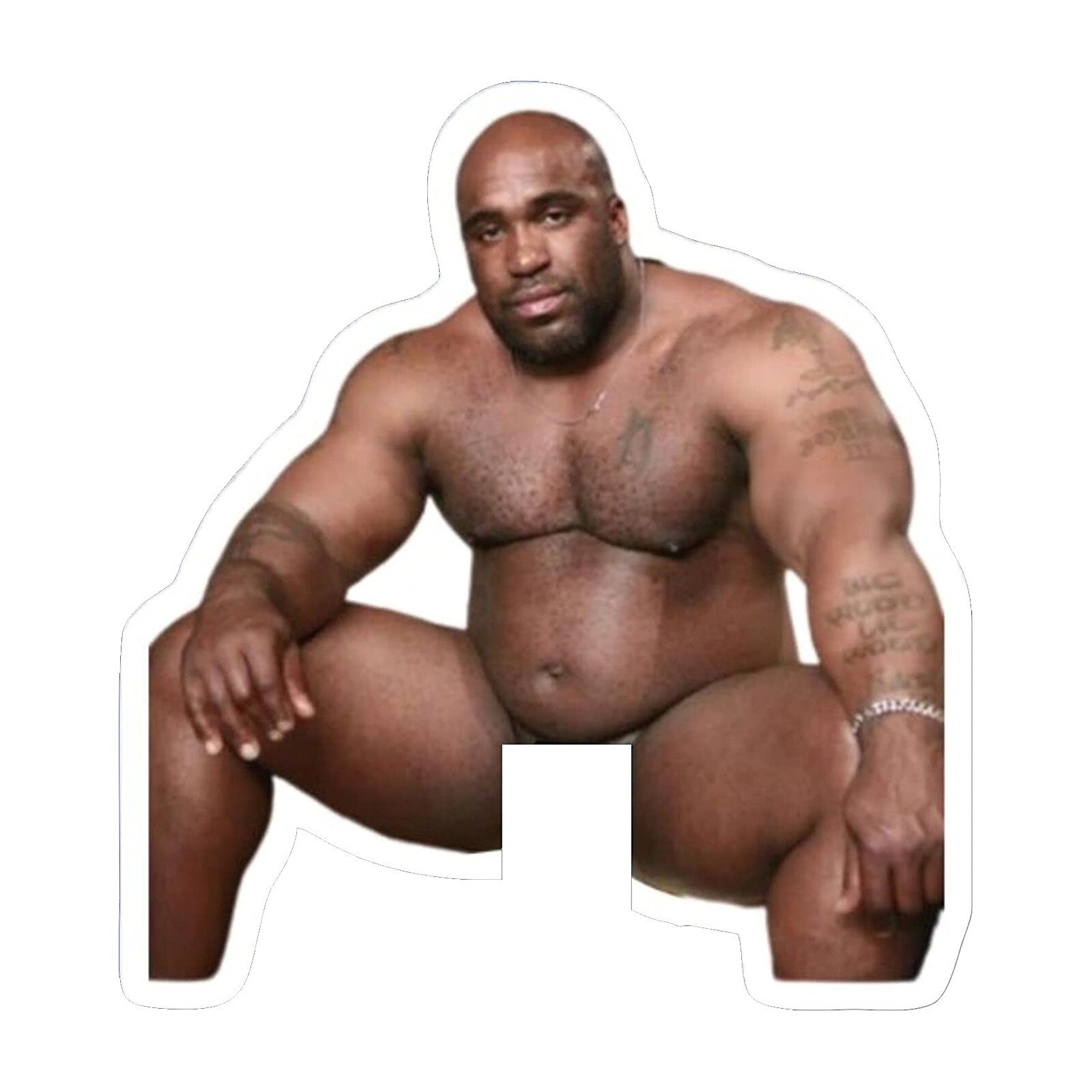 5 Pcs Funny Barry Wood Decal Sticker Prank For Light Switch Hanger Waterproof