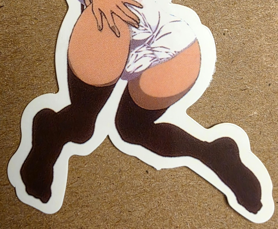 Waifu Sticker Girl Princess Maid Music Idol Lingerie Bed Bikini NSFW Anime Manga