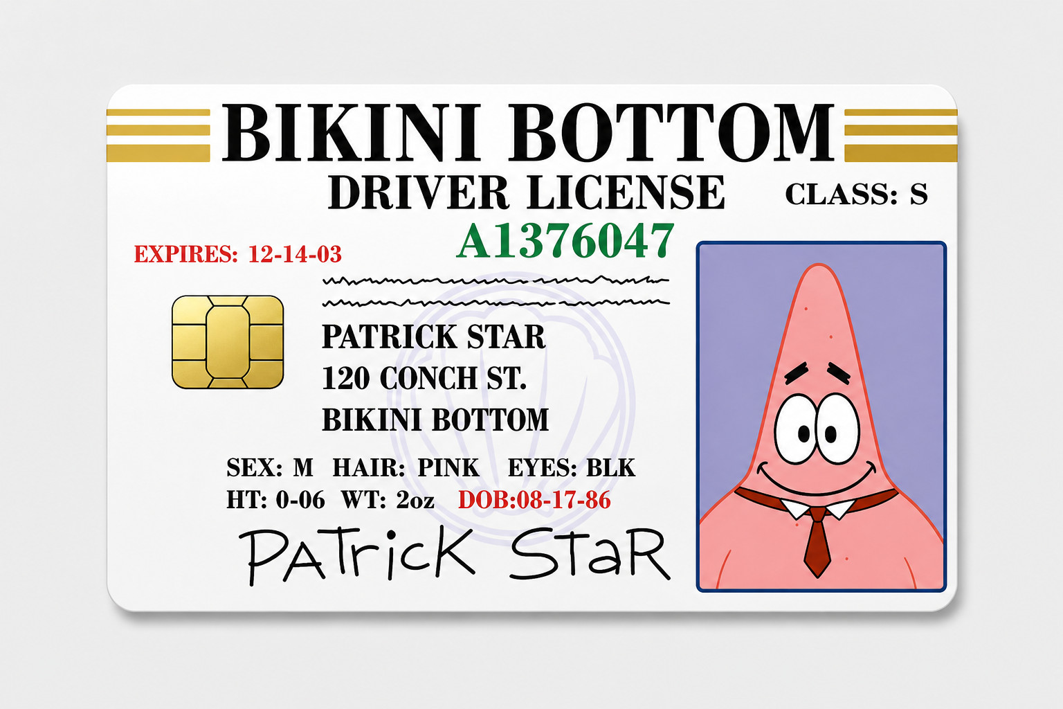 Patrick Bikini Bottom Gang License Debit Card Skin Credit Card Skin Sticker