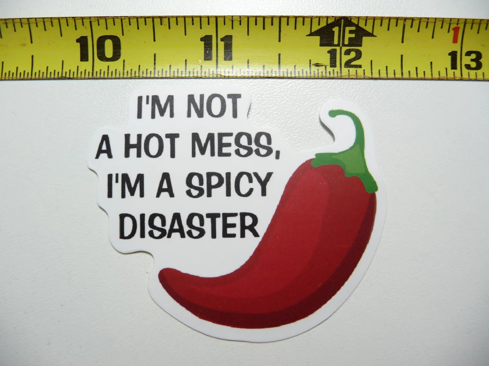 NOT A HOT MESS I’M A SPICY DISASTER SMALL STICKER DECAL SARCASM SARCASTIC FUNNY