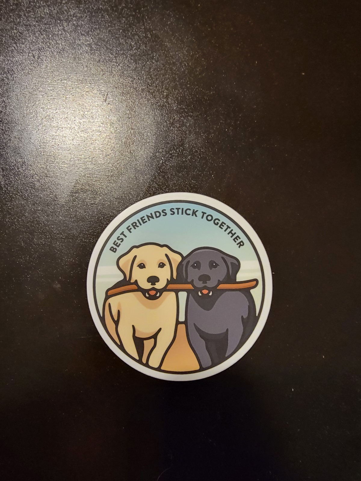Vinyl Sticker BEST FRIENDS STICK TOGETHER LAB DOG Decal Journal Scrapbook Laptop
