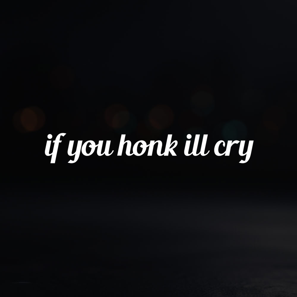 8in Vinyl Decal Sticker – «if you honk ill cry»