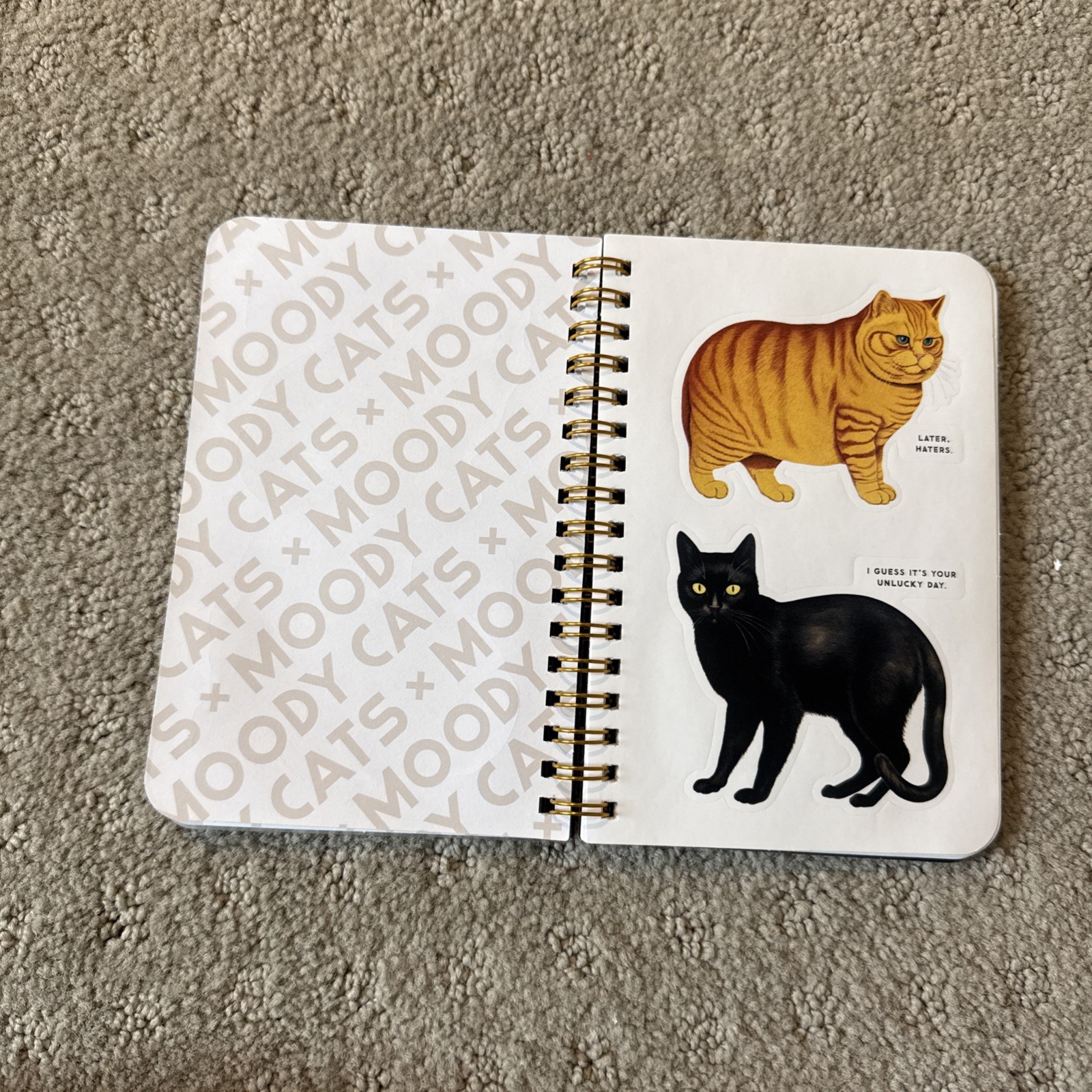 Brass monkey Co Moody Cats Sticker Book Funny Gift Cat Lover