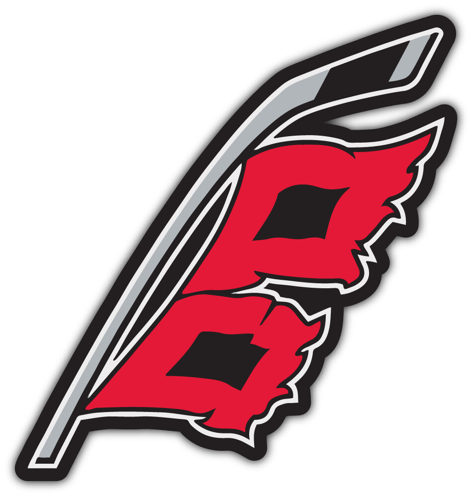 Carolina Hurricanes NHL Car Bumper Sticker Decal ID:12 «SIZES»
