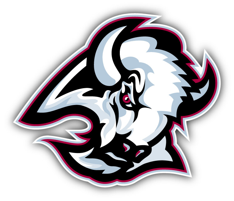 Buffalo Sabres NHL Hockey Sport Logo Car Bumper Sticker Decal «SIZES»