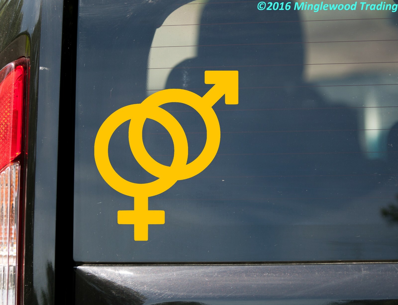 MALE & FEMALE GENDER Vinyl Sticker – Symbol Sign Joined Hetero – Die Cut Decal