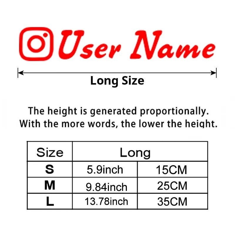 Custom Text Vinyl Lettering Sticker Decal Personalized – ANY TEXT – ANY NAME [A1