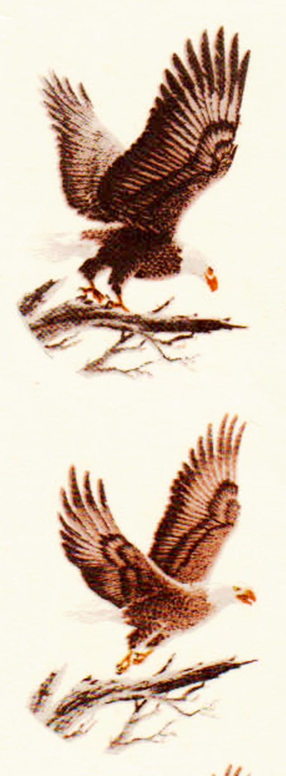 Mini Vintage Bald Eagle Small Ceramic Waterside Decals (15) 1 1/2″ x 1 3/4″