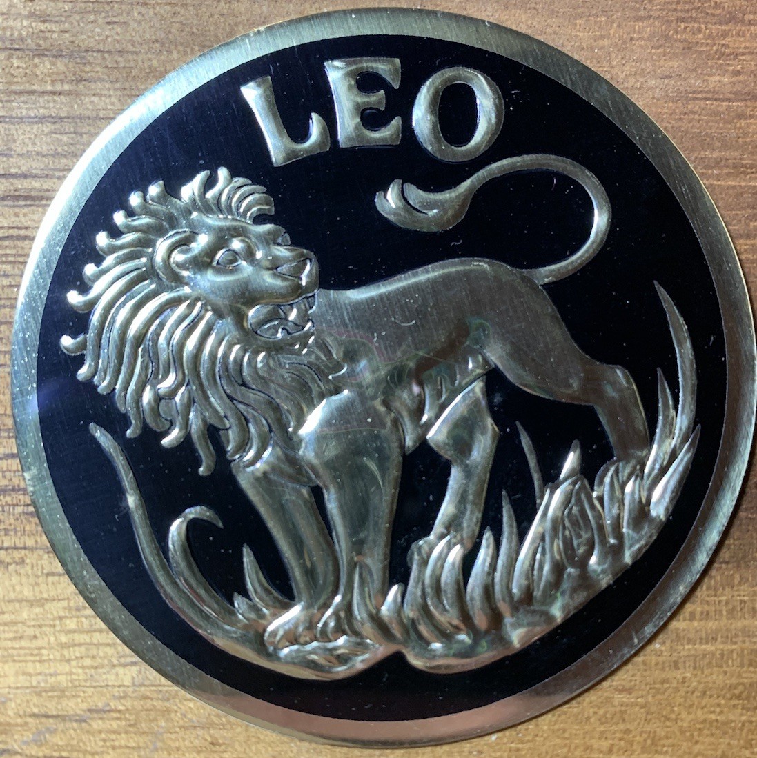 VTG LEO ASTROLOGY ZODIAC HOROSCOPE sticker decal RIGID METAL IN ORIGINAL CASE