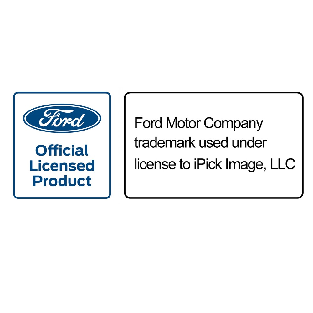 Ford F-150 Lightning Silver Carbon Fiber Universal Door Sill Kick Plates