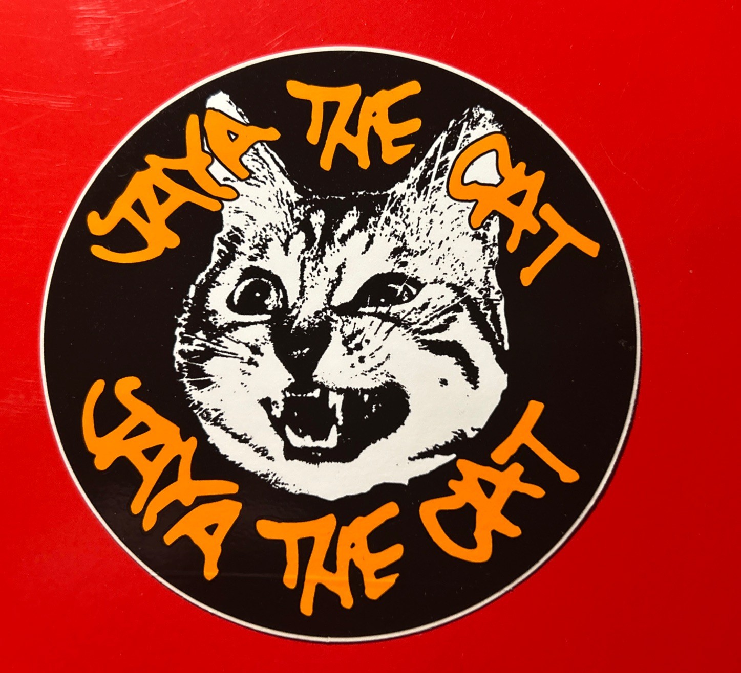 Jaya The Cat Basement Style Sticker Decal Hype Release Date.