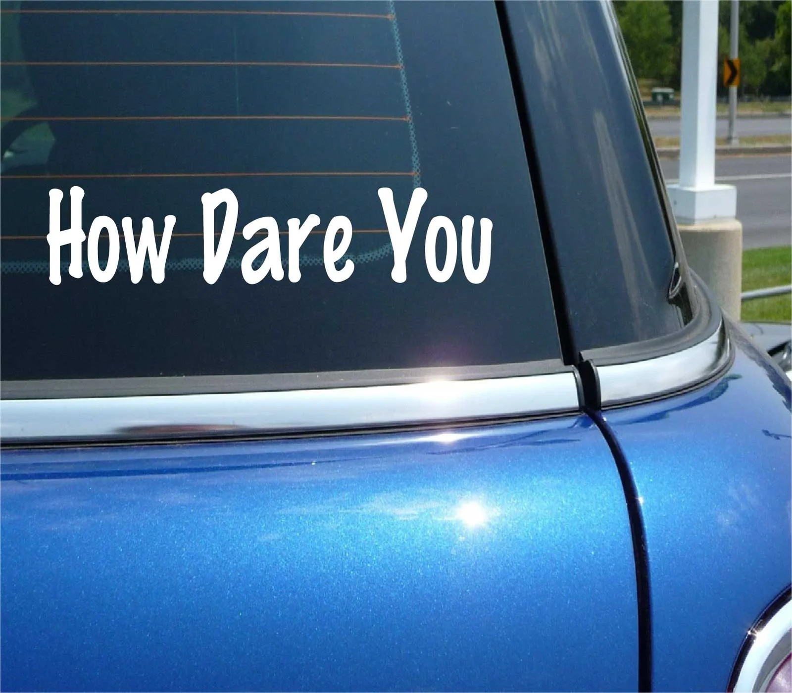 HOW DARE YOU DECAL STICKER FUNNY PROTEST ENVIRONMENT RECYCLE FUTURE EARTH CAR
