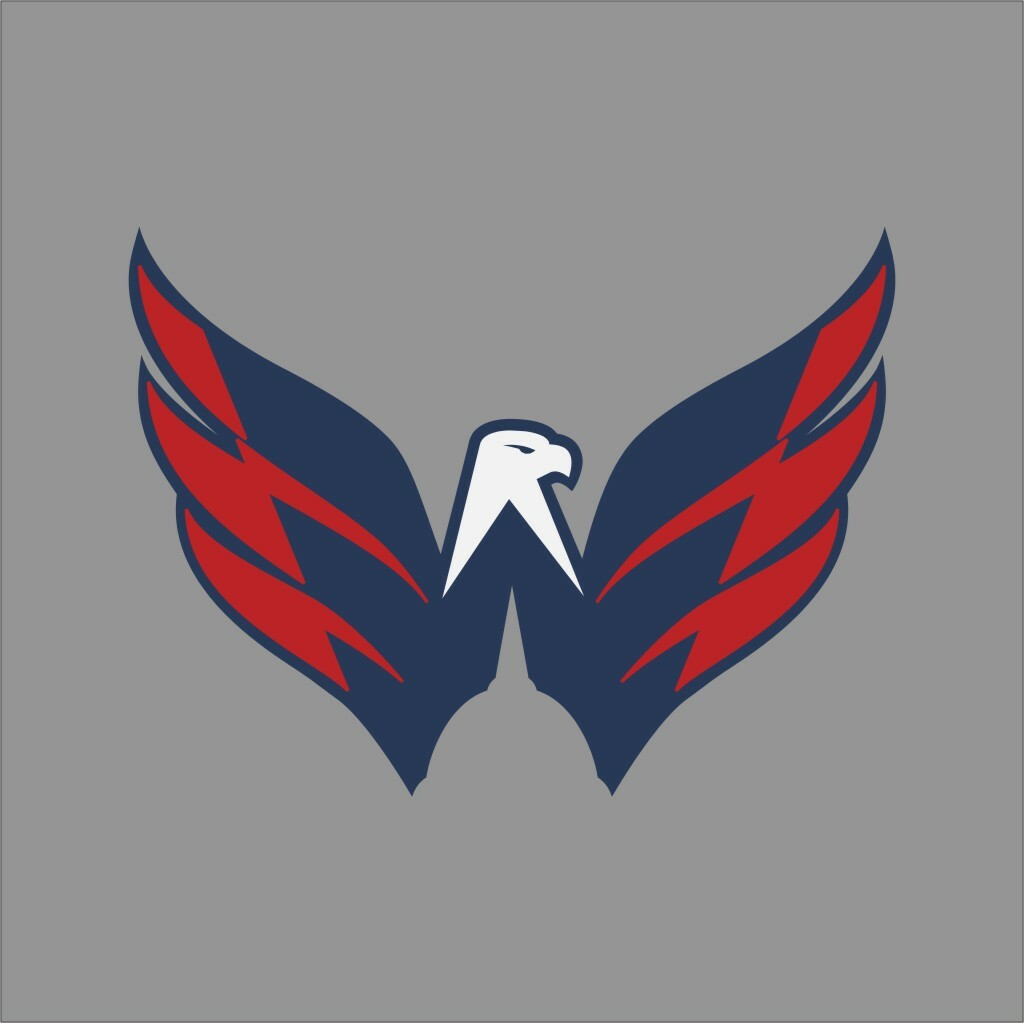 Washington Capitals #2 NHL Team Pro Sports Vinyl Sticker Decal Car Window Wall