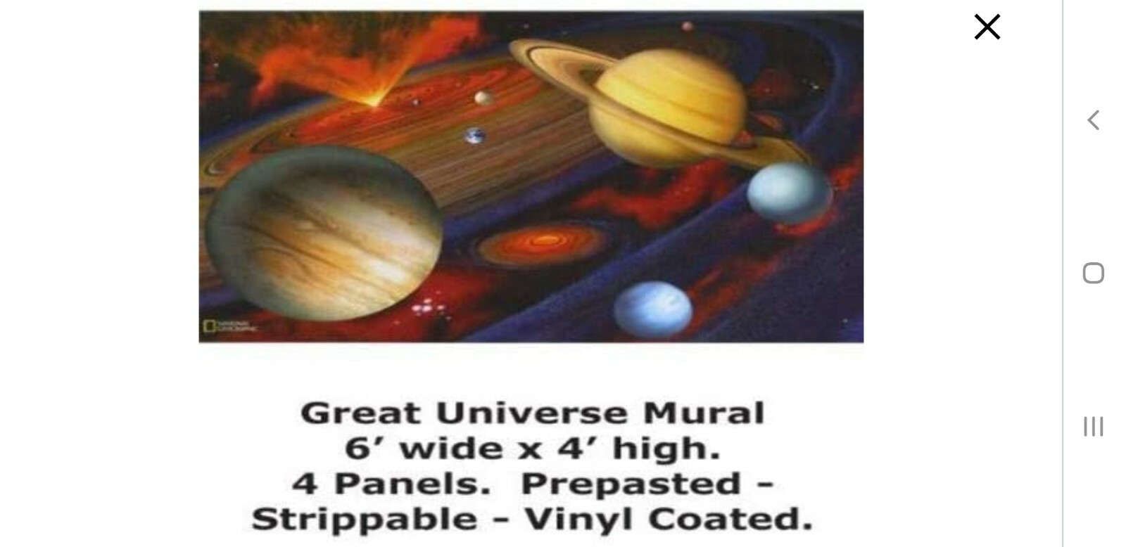 Brewster National Geographic Great Universe Wall Mural, 72-Inch x 48-Inch