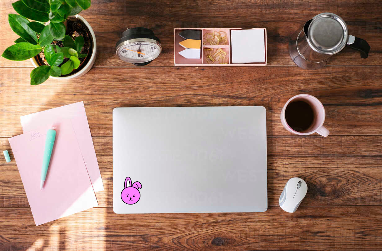 BT21 Cooky Vinyl Decal Sticker – KPOP Fan’s Perfect Accessory! – 6634