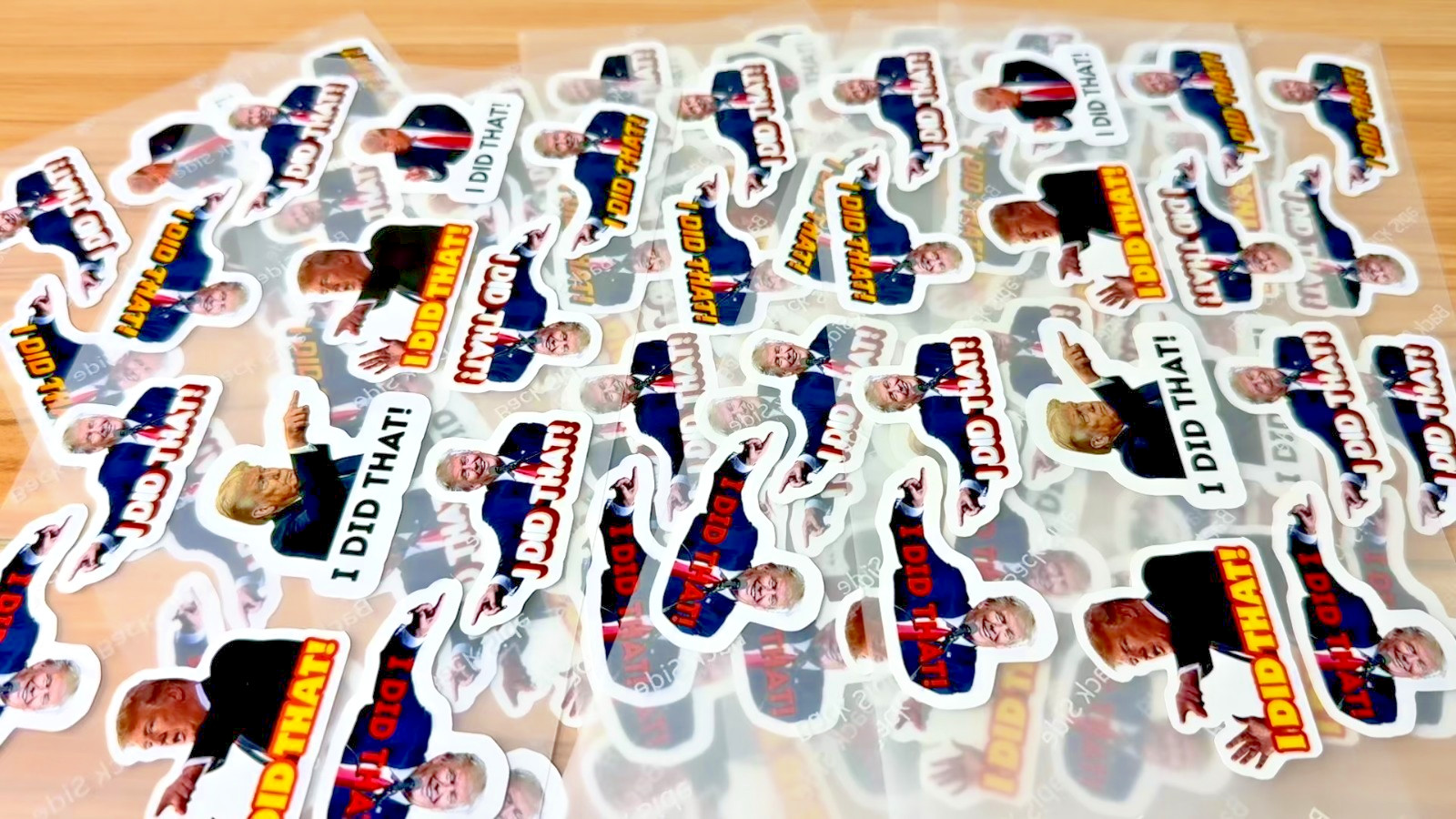 Trump I DID THAT Stickers Mixed 25 Pack Waterproof Political Anti Trump Decals