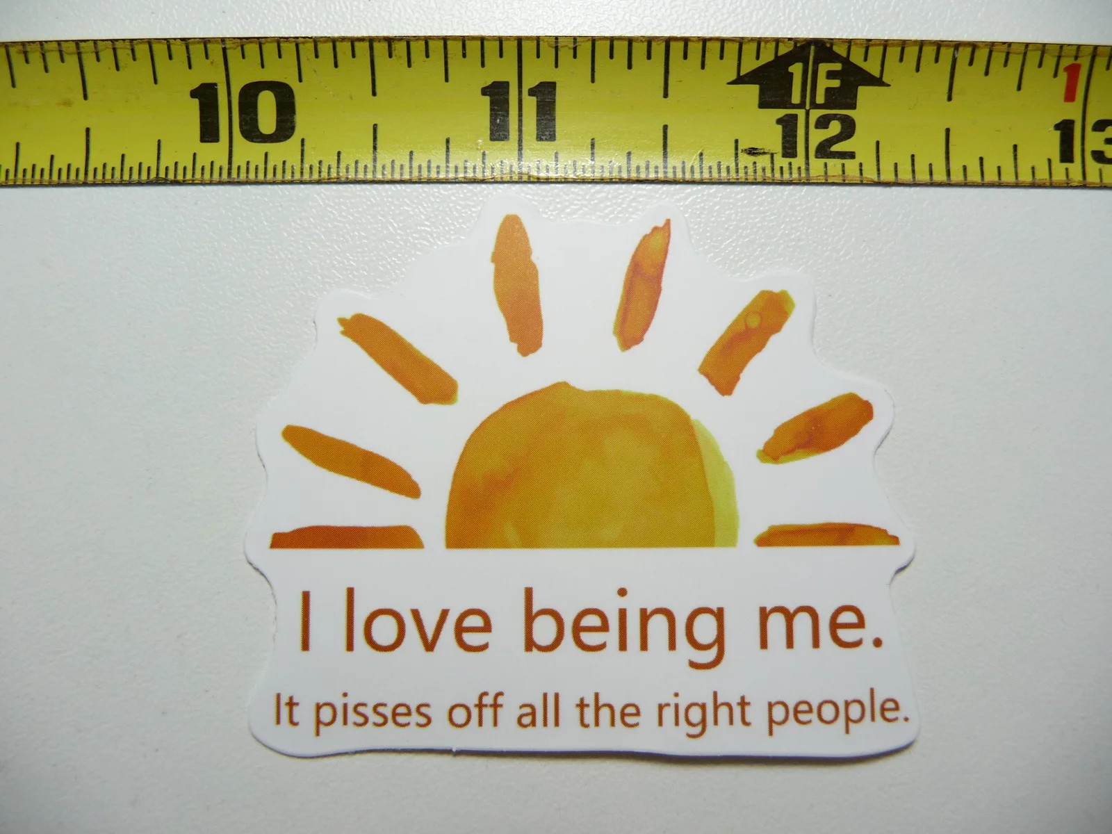 I LOVE BEING ME IT PI**ES OFF PEOPLE SMALL STICKER DECAL SARCASM SARCASTIC