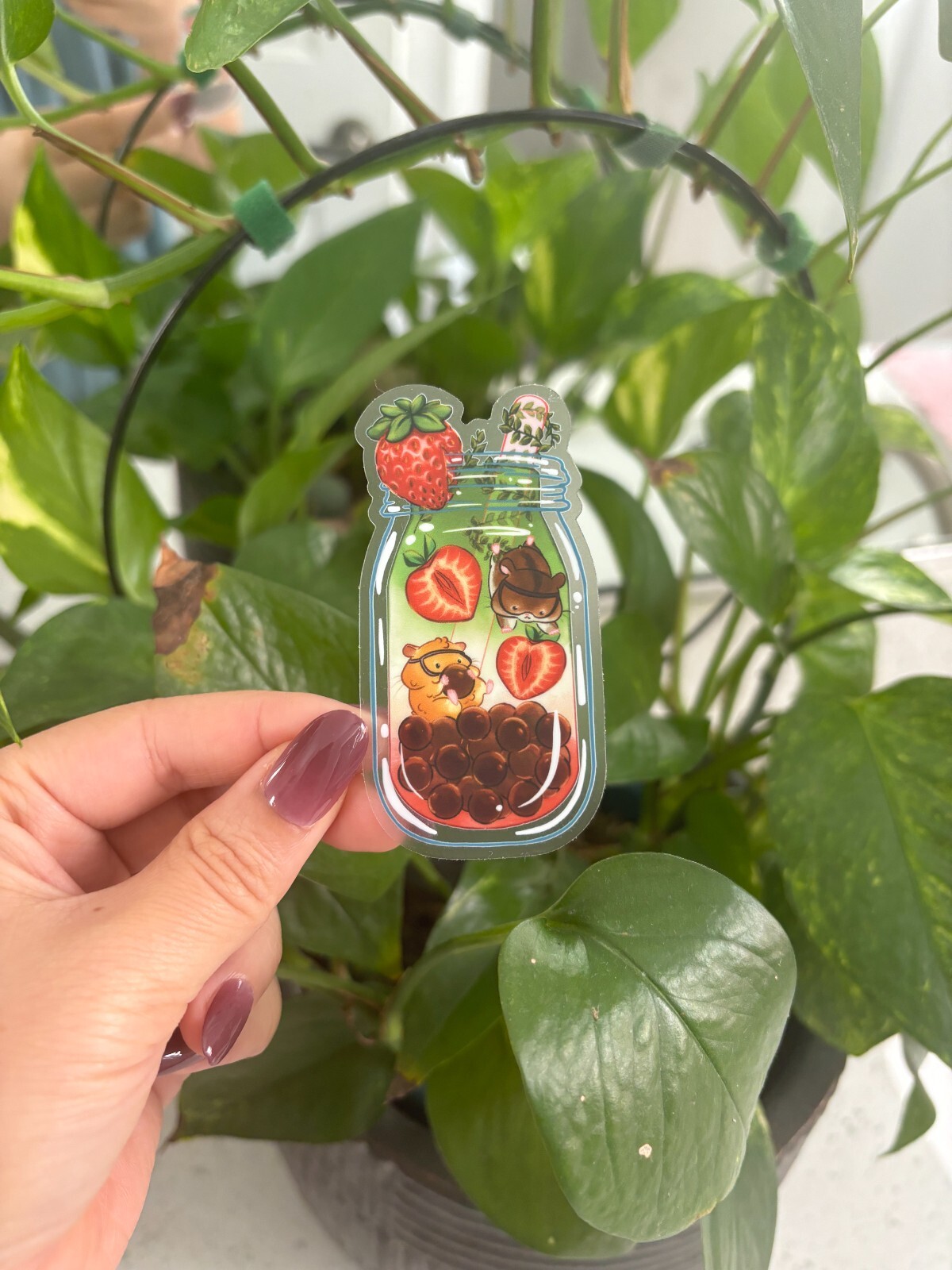 Strawberry Matcha boba Latte Hamster Clear Vinyl Sticker | Durable Thick