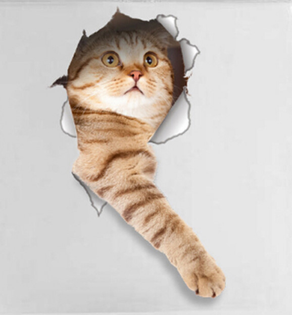 CAT IN A HOLE 3D Removable 13″ x 7″ Die-cut Wall / Refrigerator Decal (14148)