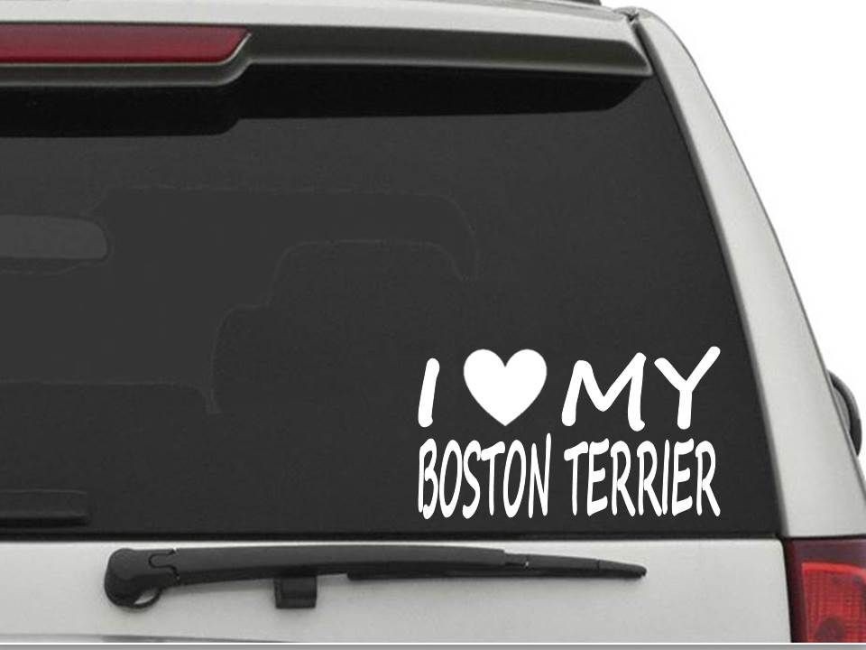 I LOVE MY BOSTON TERRIER Sticker Decal FREE SHIPPING Car Truck HEART CW1501