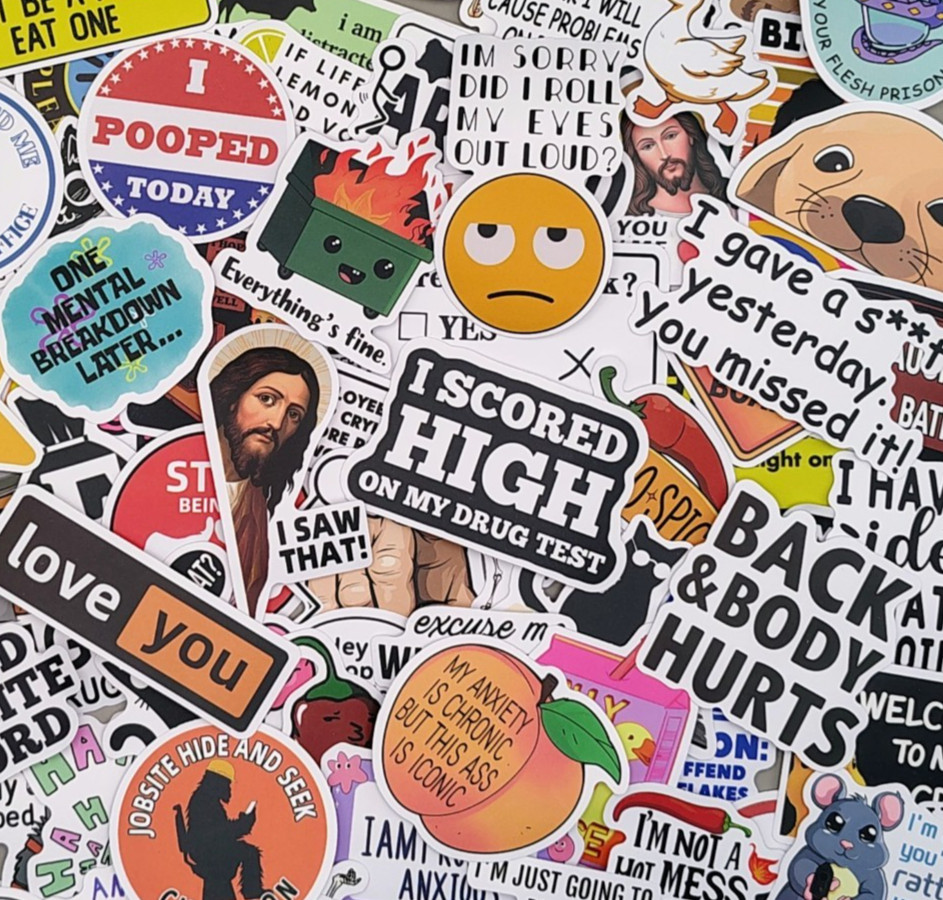100 Pcs Funny Meme Stickers Pack Vinyl Decals Sarcastic Adult Humor Joke Lot