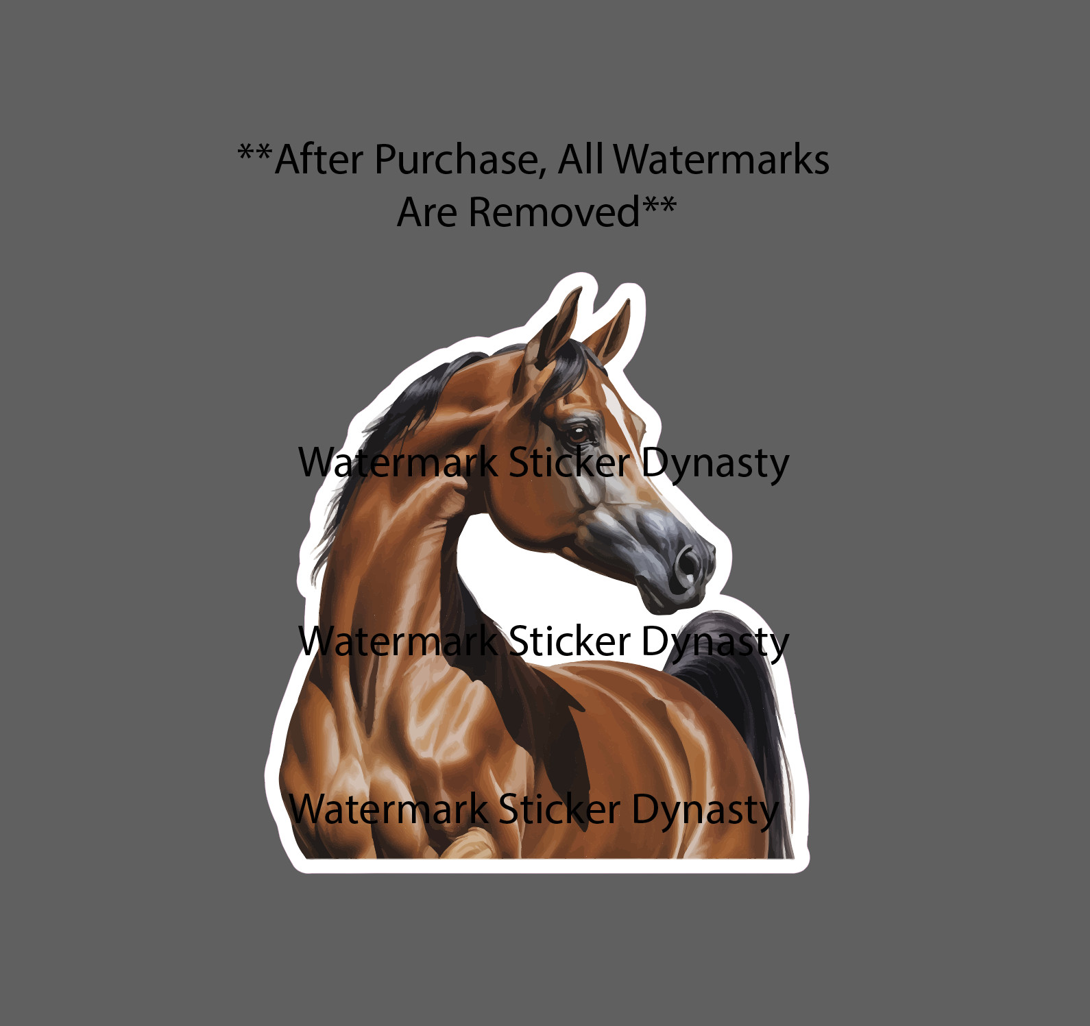 Arabian Horse Sticker Waterproof Decal Farm Farmhouse Animal Country Gift NEW