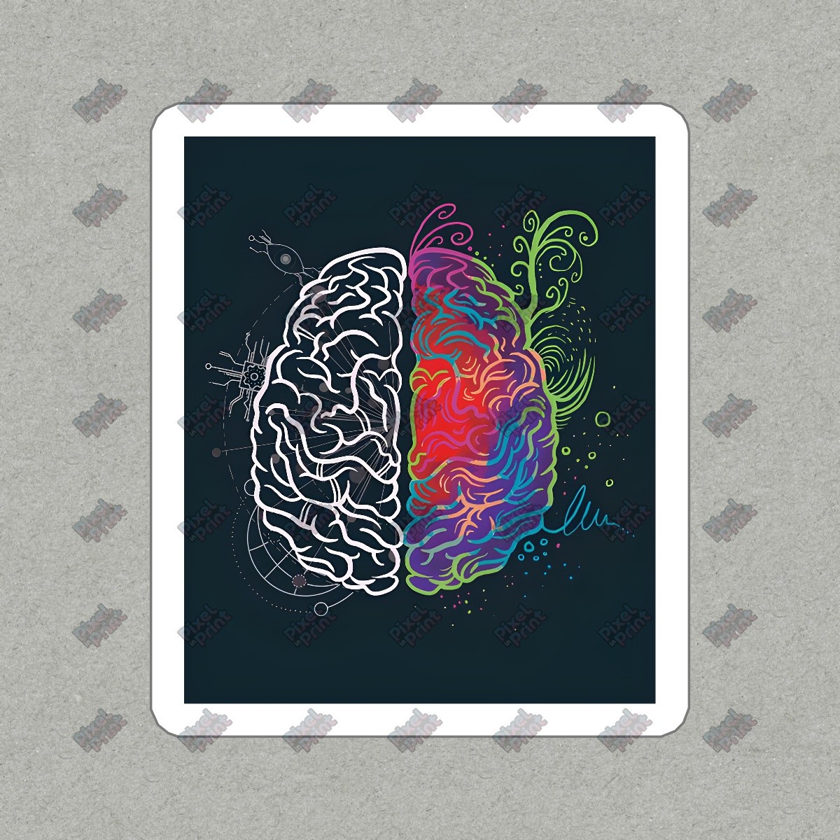Vibrant Brain Vinyl Sticker Colorful Brain Decal Perfect for Science #729486