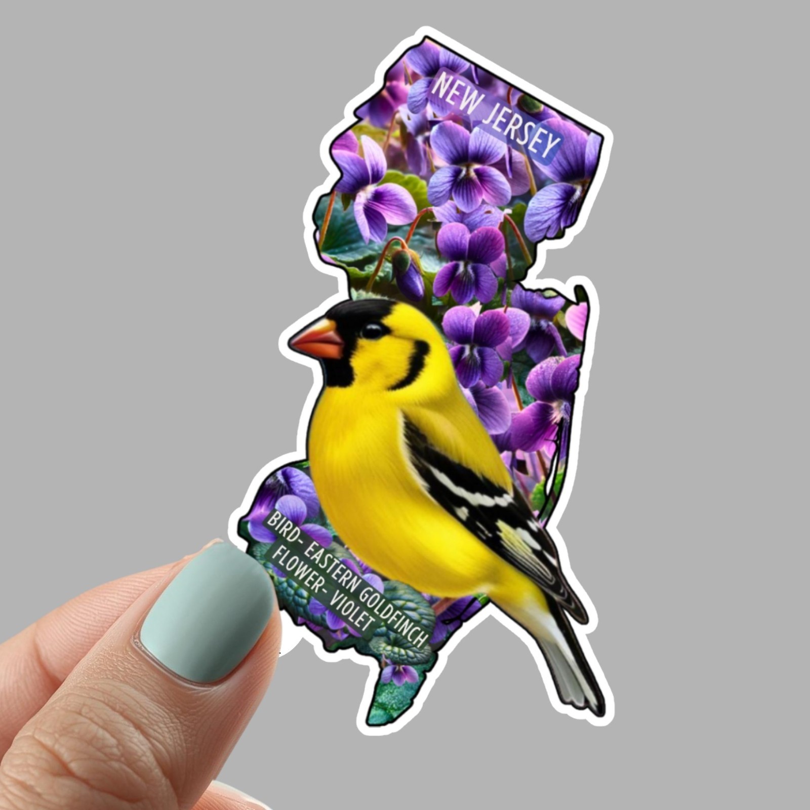 New Jersey Map Sticker, New Jersey Bird and Flower, State Pride 3″ Decal.
