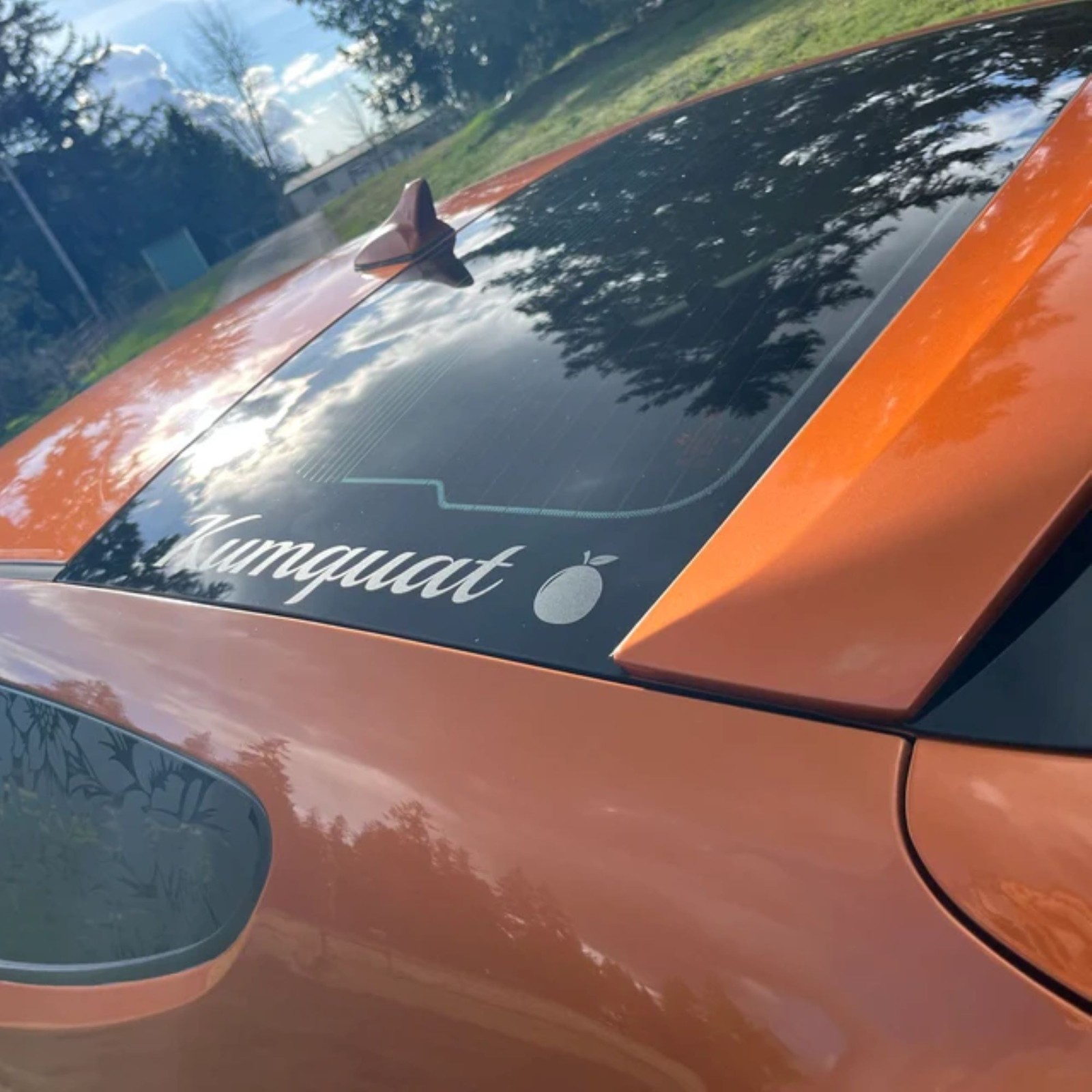 Custom Decal Vinyl Lettering Personalized for Business Sign Text Name Window Car