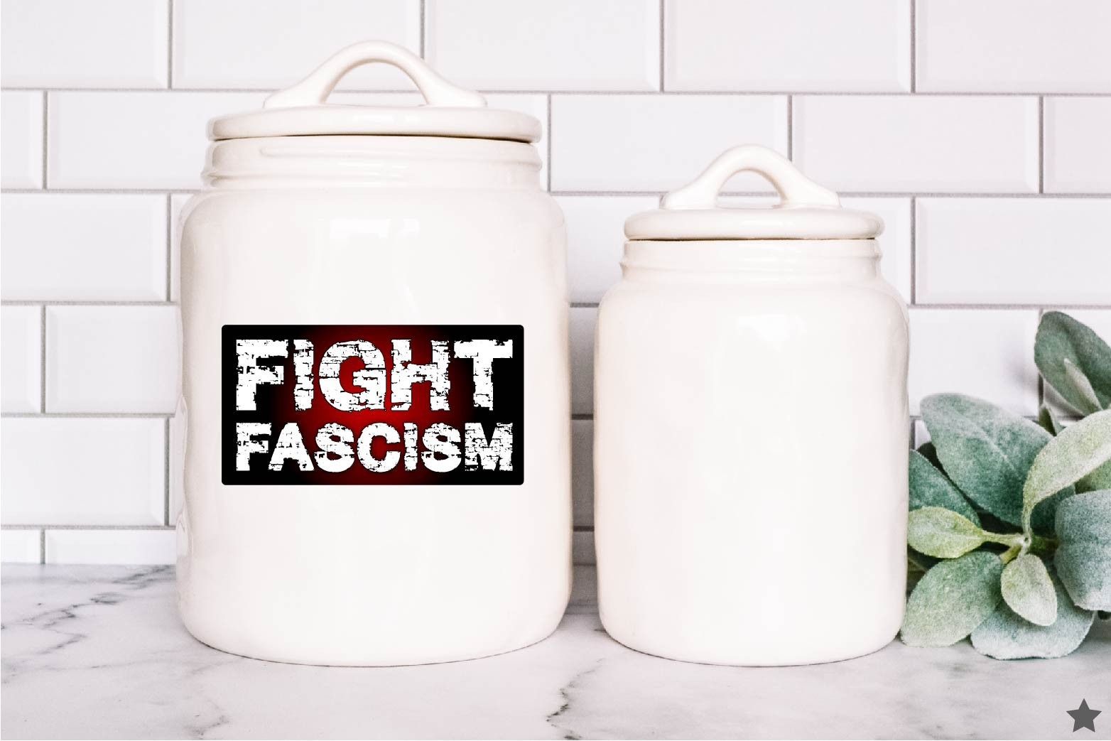 Fight Fascism Decal Sticker Anti Trump MAGA No Kings Protest USA End War Iran